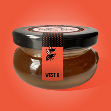 Load image into Gallery viewer, West University Place