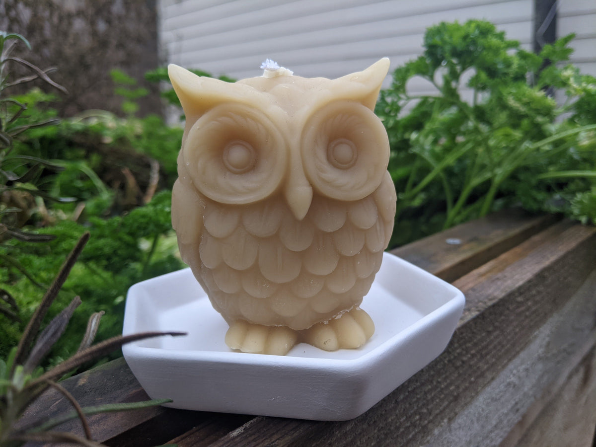 Owl Beeswax Candle Local Houston Beeswax Bee2Bee Honey Collective