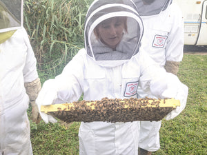 Houston Beekeeping Experience